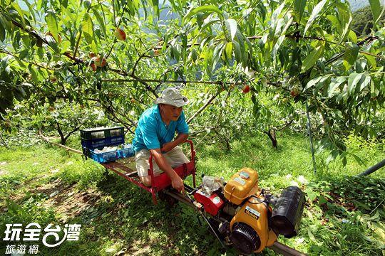 Da Kuan Peach Farm Resort Hualing Exterior photo